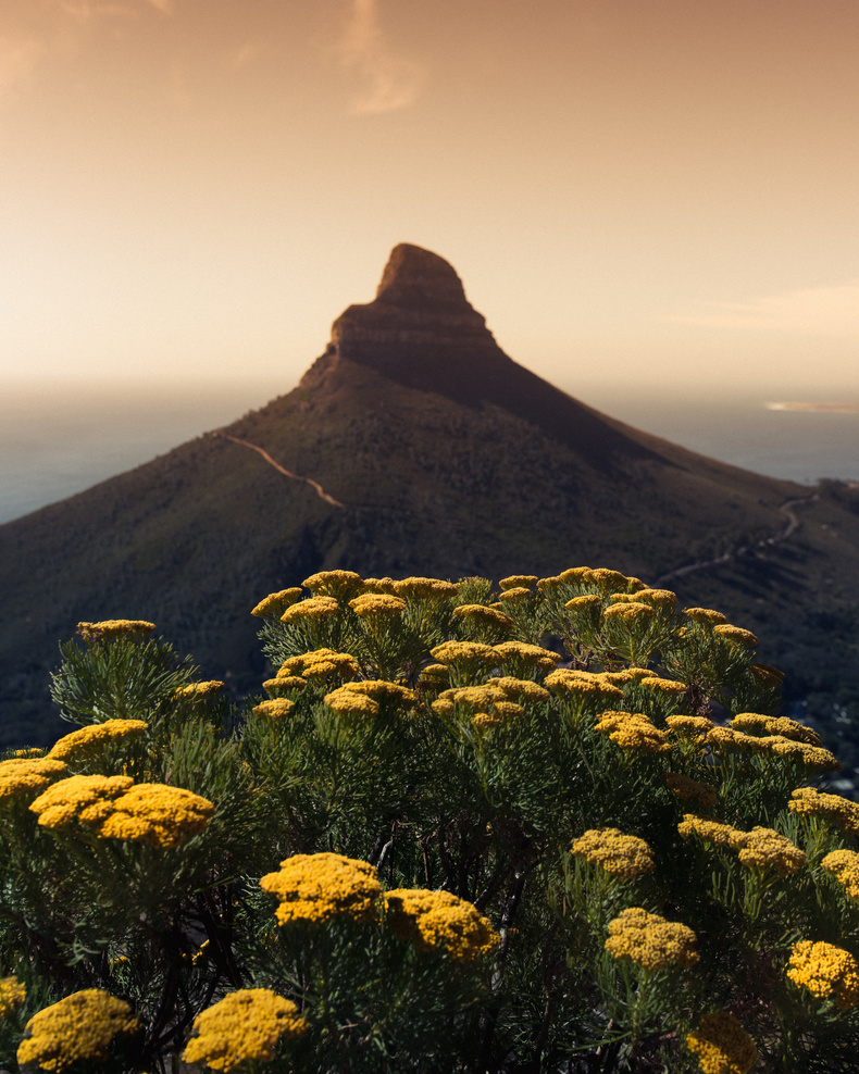 Lions Head in Cape Town